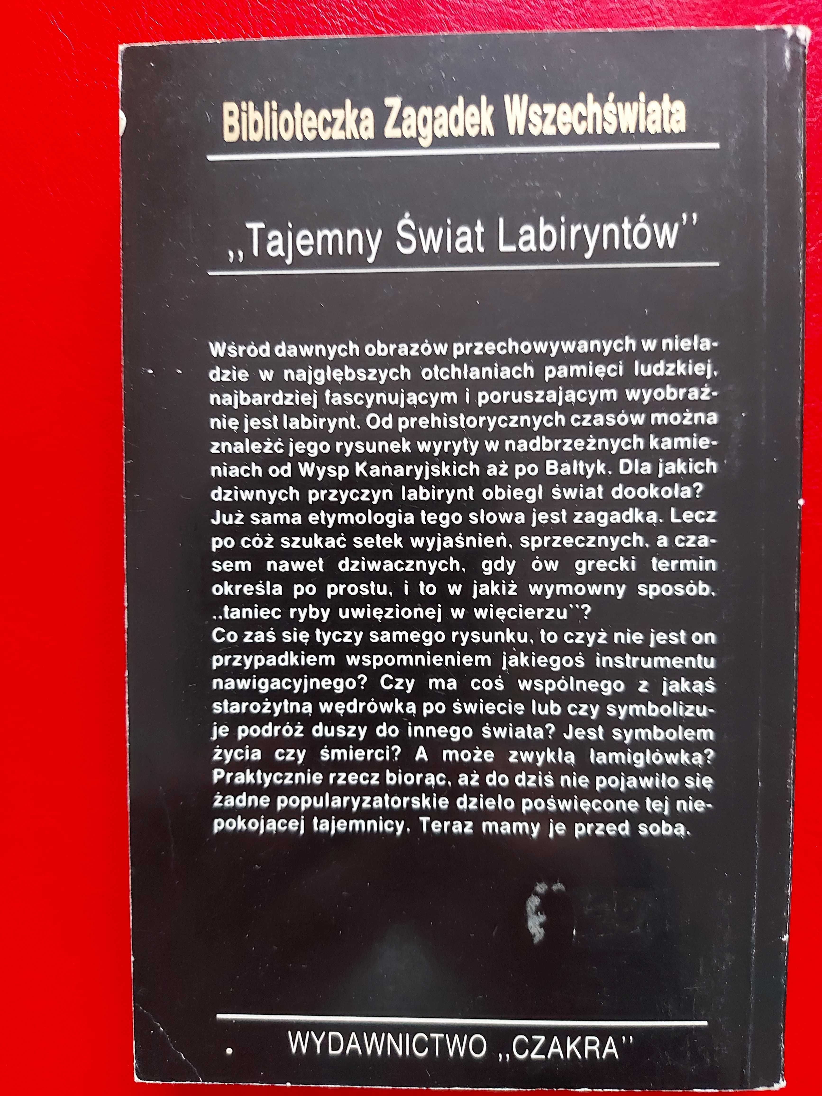 Tajemny świat labiryntów