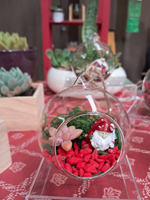 Lembranças suculentas