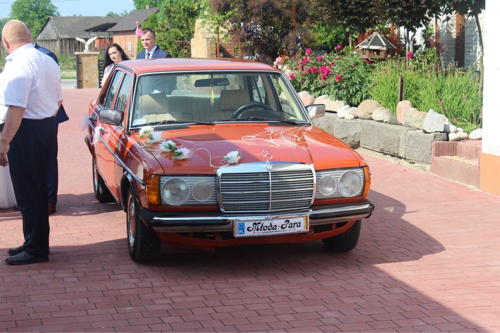 Auto, Samochód do ślubu Mercedes 1981r