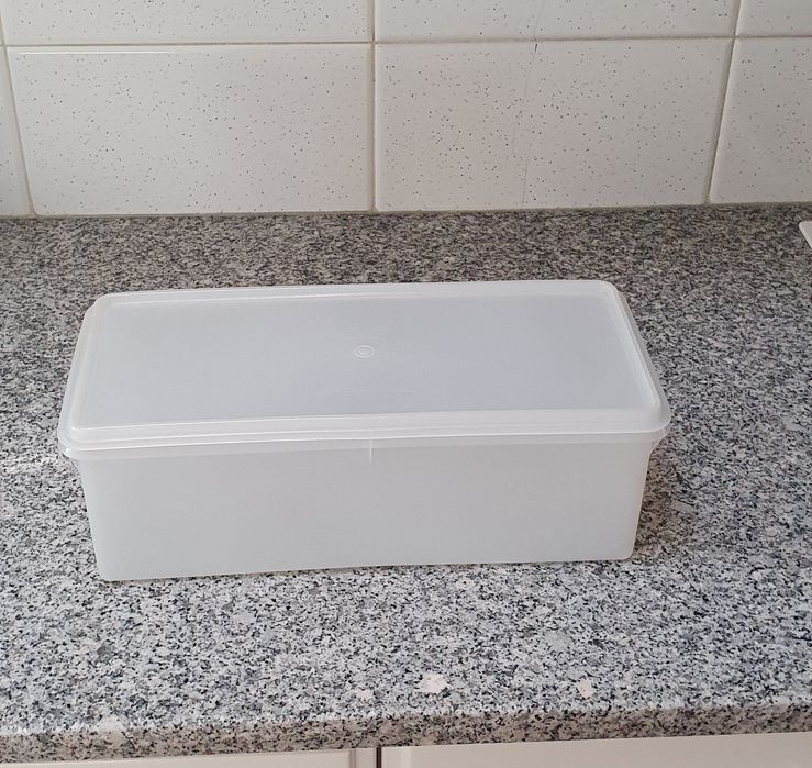 Tupperware grande retangular