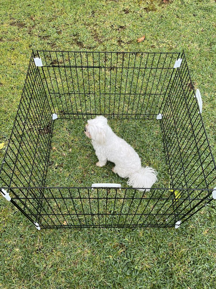 Parque para animais