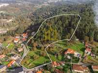 Dois Terrenos de Grande Dimensão no Meio da Natureza | Arosa e Cast...