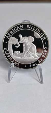 Срібна інвестиційна монета Слон Сомалі 2024 1 унція 9999 проба пруф