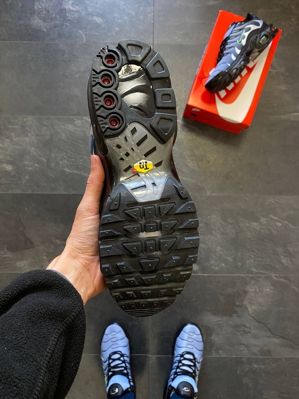 Кросівки Nike Air Max Plus Tn Silver