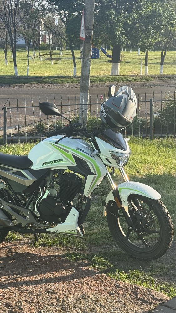 Geon pantera 250
