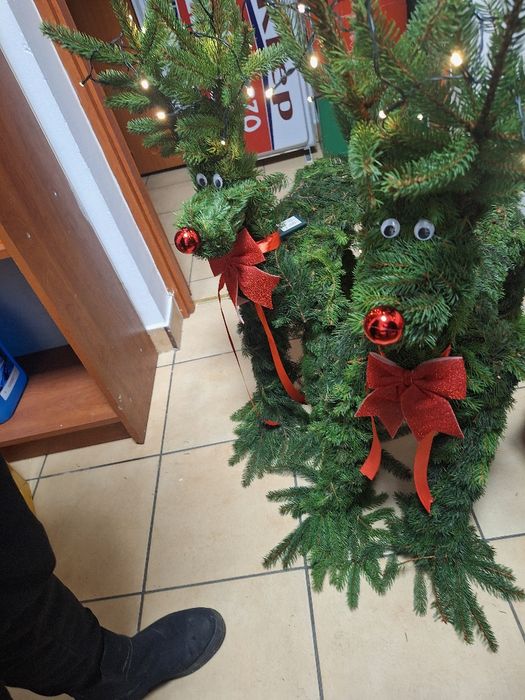 Renifer świątecznym ze świerku