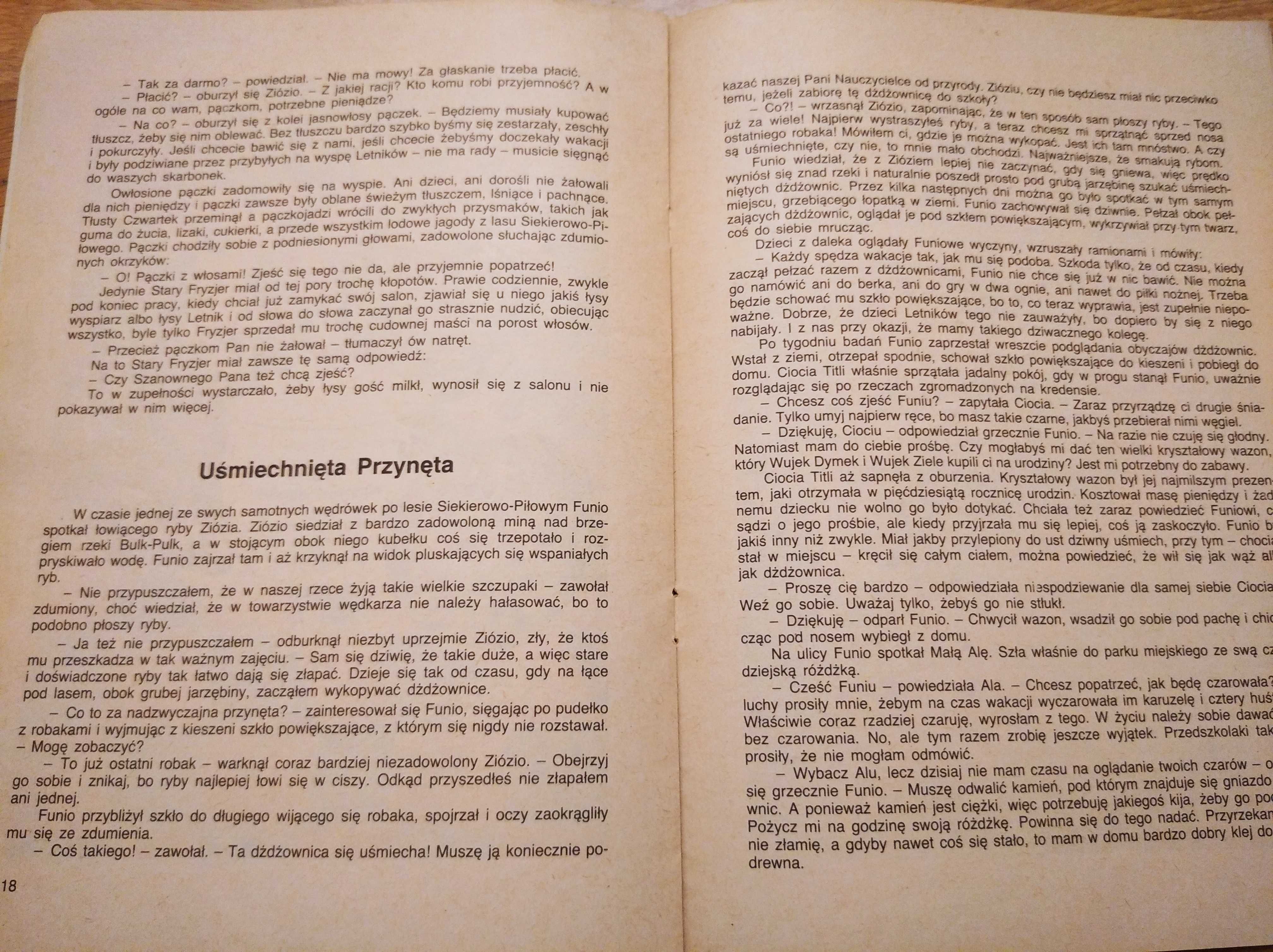 Książka Wakacje na Umpli Tumpli Stecewicz 1989