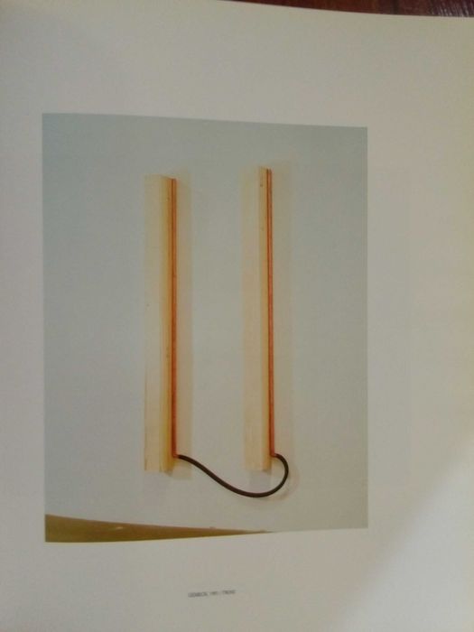 Pedro Cabrita Reis - Contra a claridade