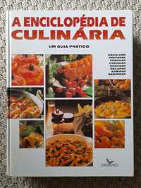 A Enciclopédia de Culinária - 480 páginas