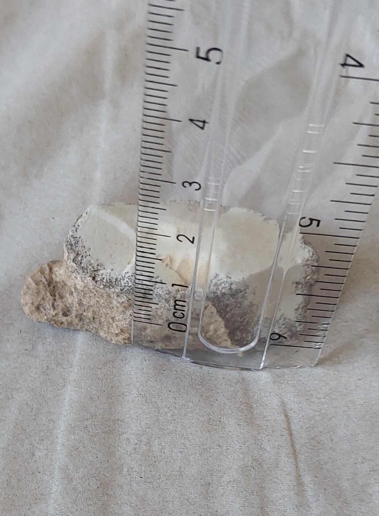 Dendrite Rock, Dendritik rock