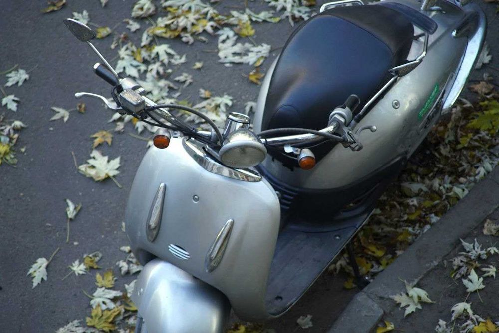 Soligor Tele-Auto 300/5.5 Olympus OM