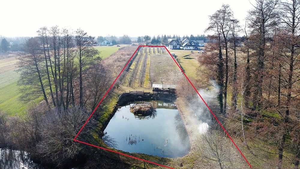 Działka rolno-budowlana 6600m2, gmina Skierniewice, Mokra