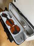 Violino 4/4 Aprendizagem Parrot