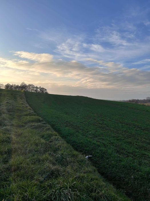 Do sprzedania Działka rolno zagrodowa w Zdzięsławicach