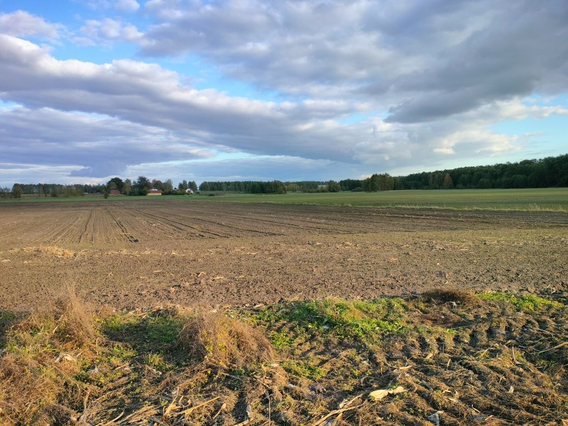 Działka 30 arów Stradzew