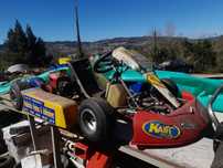 Karting adulto e um para criança