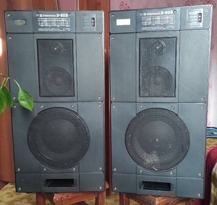 Колонки акустична система RADIOTEHNIKA S-90