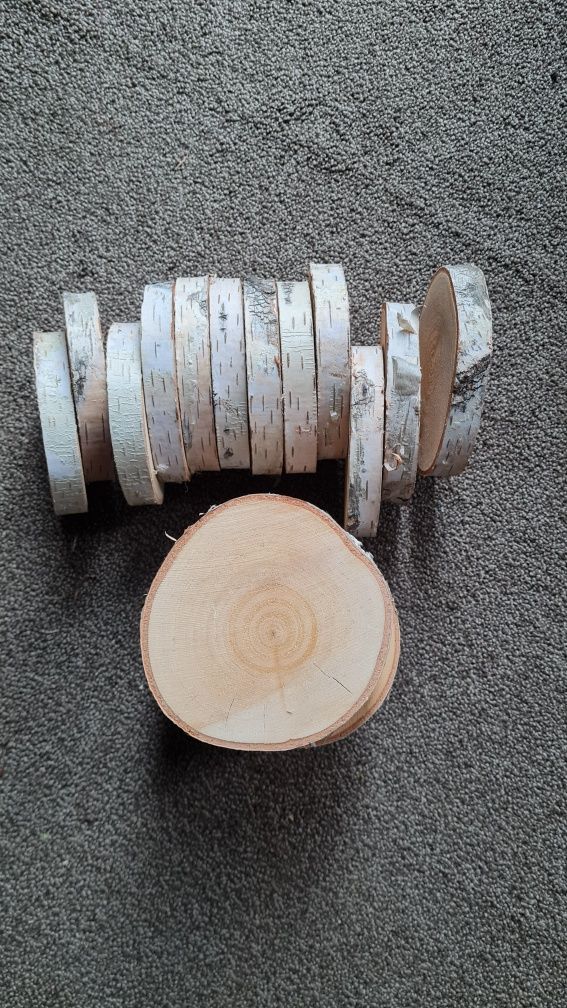 Zestaw 10 szt plastrów brzozy 9/10 cm  biała kora