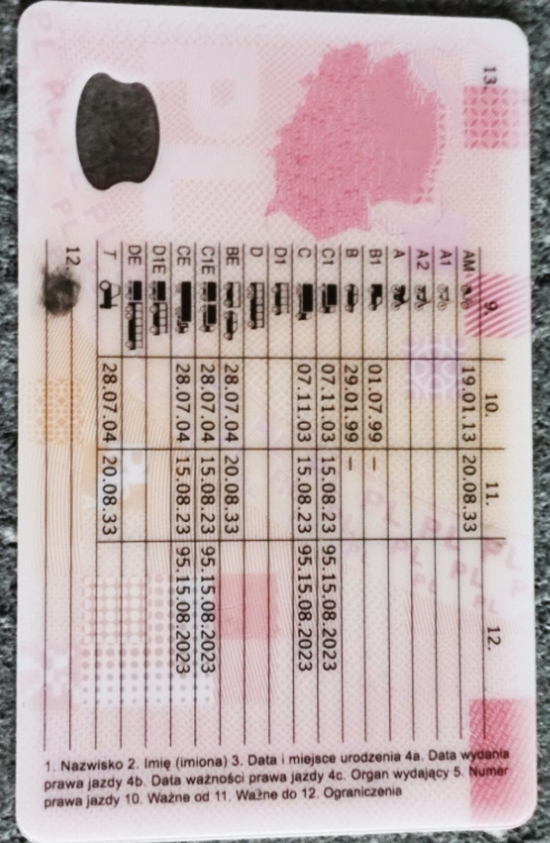 Kierowca do wynajęcia B , C , C+E