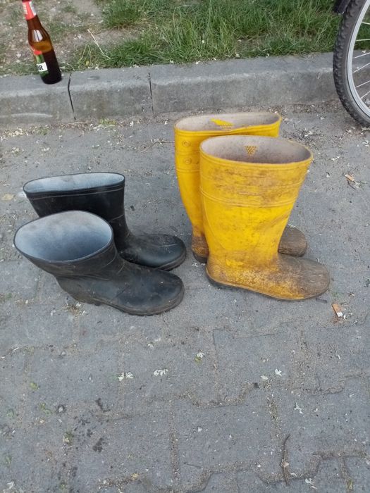 Kalosze ro. 43 dwie pary.