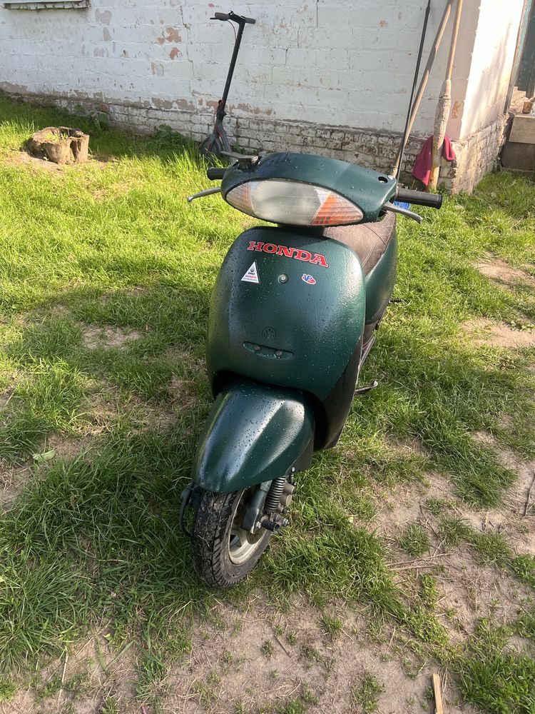 Продам скутер хонда такт аф 51