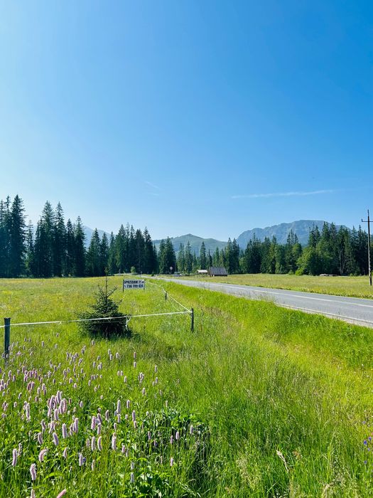 Działka Witów, przy drodze wojewódzkiej, widokowa