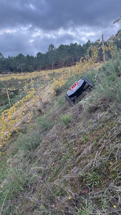 Robot Triturador telecomandado Arvipo DRM 70