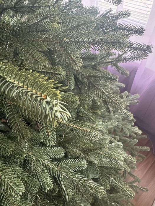 Ялинка Віденська Лита