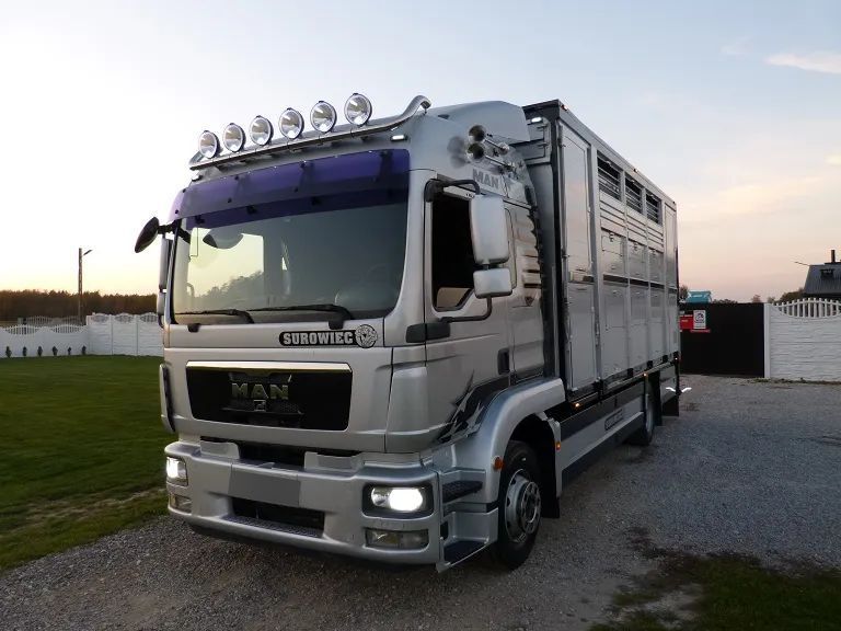 MAN TGM 15.290 DO ŻYWCA / ZWIERZĄT / BYDŁA / TRZODY CHLEWNEJ / WAGA EL. / NA PODUSZKACH / EURO 5 / DMC 16.000 KG