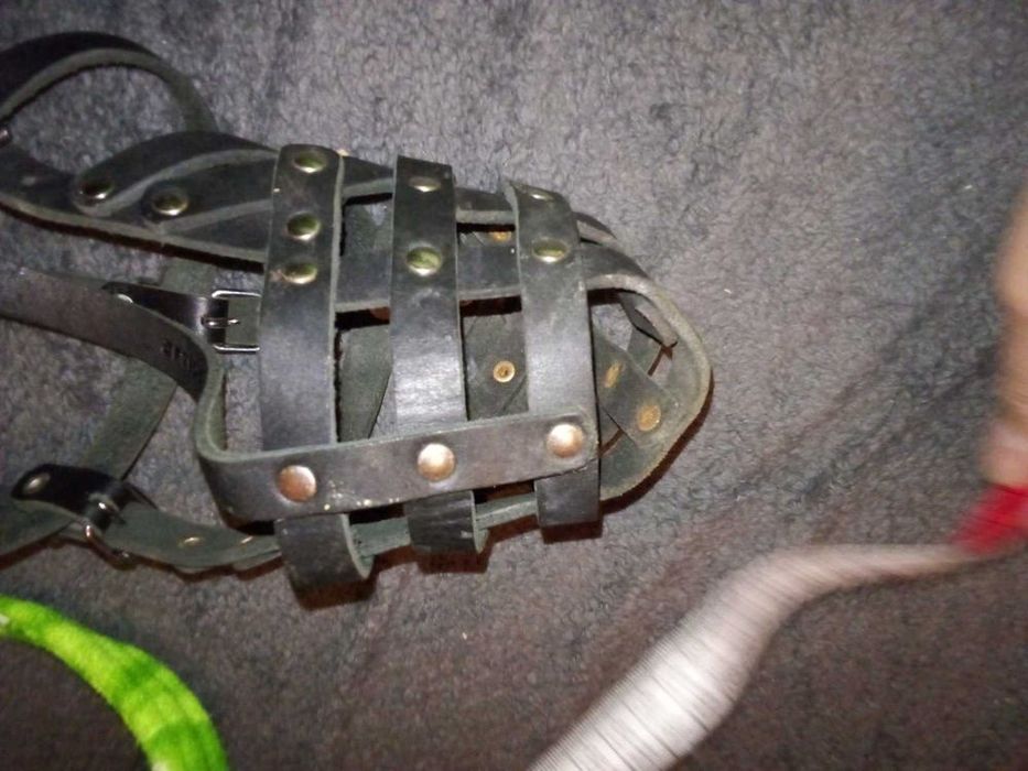 Намордник шкіряний