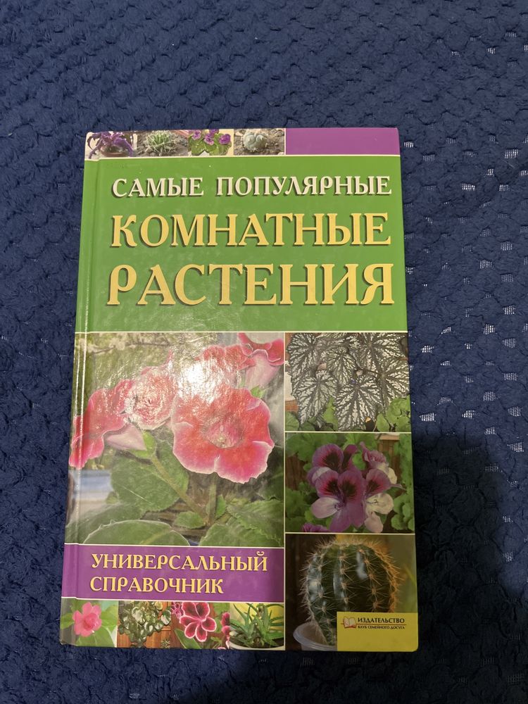 Самые популярные комнатные растения