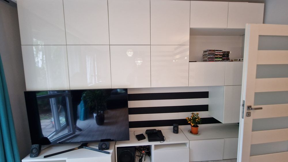 Szafa modułowa Ikea Besta 120 x 40 x 38 (obudowa bez frontu)
