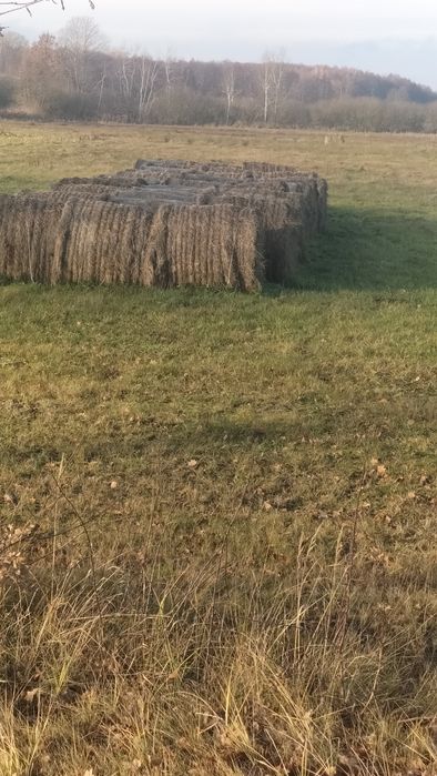 Produkty rolne siano