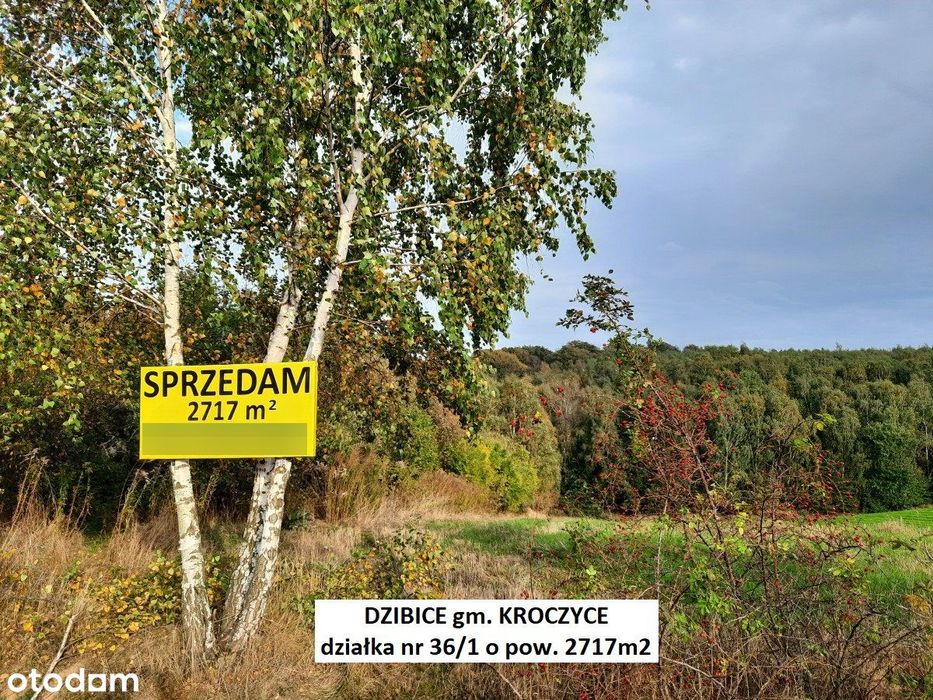 Jura tania działka przy asfalcie 2717m2, cena tylko 83.200 zł