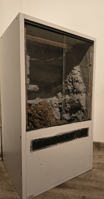 Terrarium gekon orzęsiony