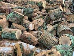 Запасіться дровами на зиму зараз і зекономте гроші