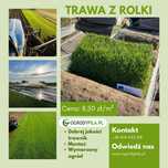Trawa z rolki Premium