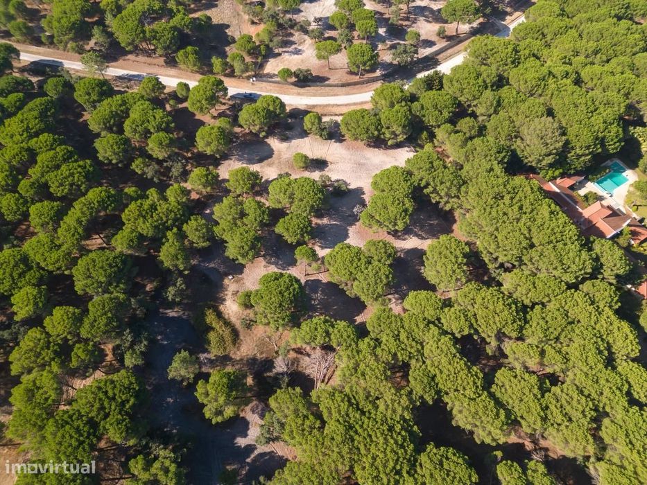 Terreno 2.6 ha, Santo Estevão, Benavente