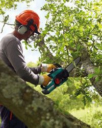 Займаюсь валкою дерев