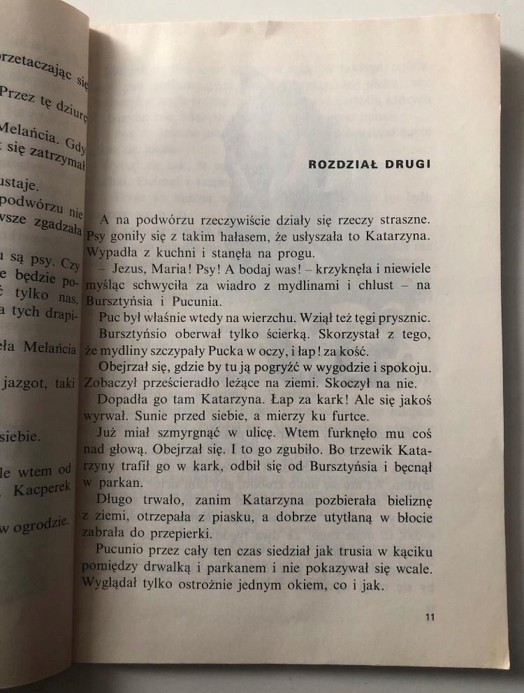 Puc Bursztyn I Goście. Jan Grabowski
