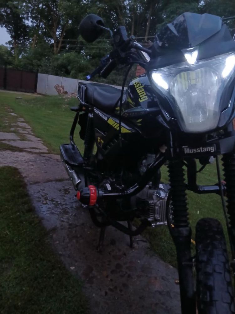 Musstang-Fitt…125