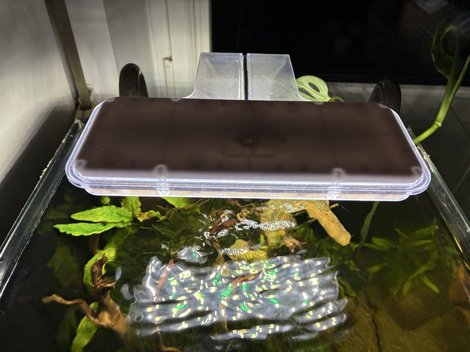 Zestaw akwariystyczny