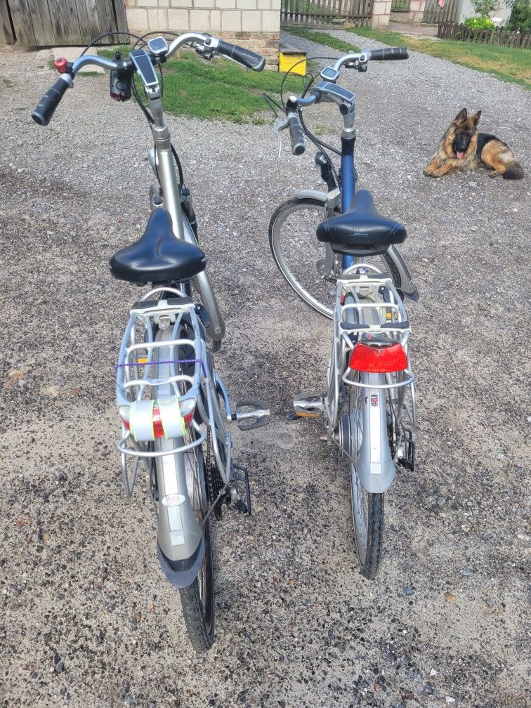 Rowery elektryczne batavus