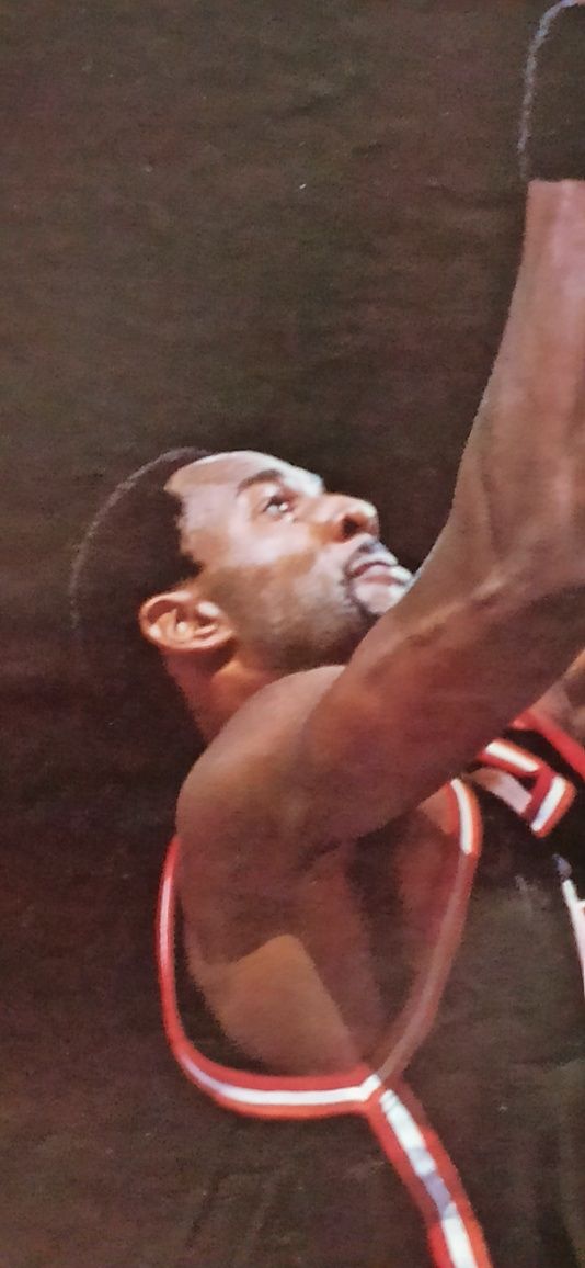 NBA koszykówka - plakat Alonzo Mourning