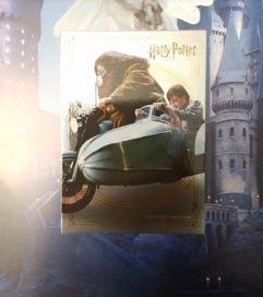 Karta panini evolution Harry Potter specjalna