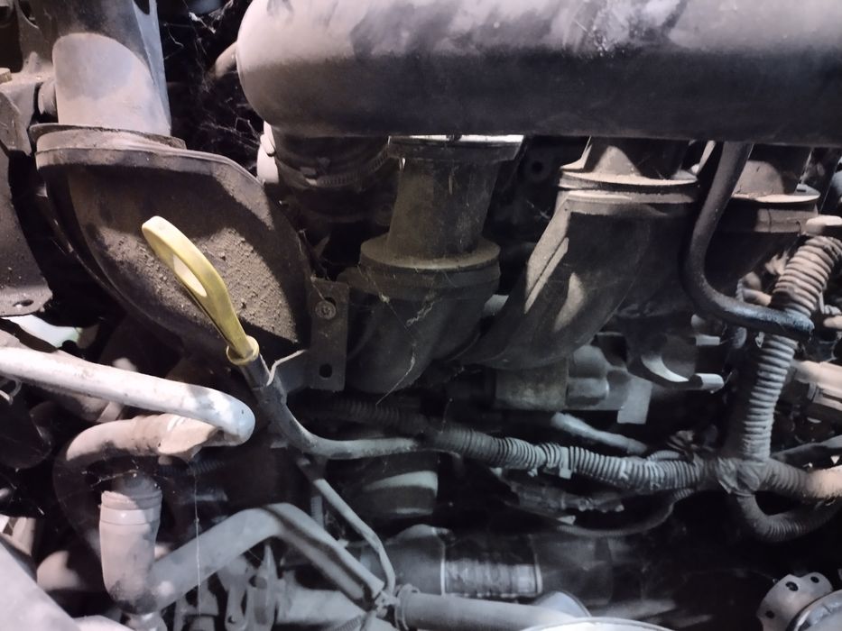 Двигун Форд фокус