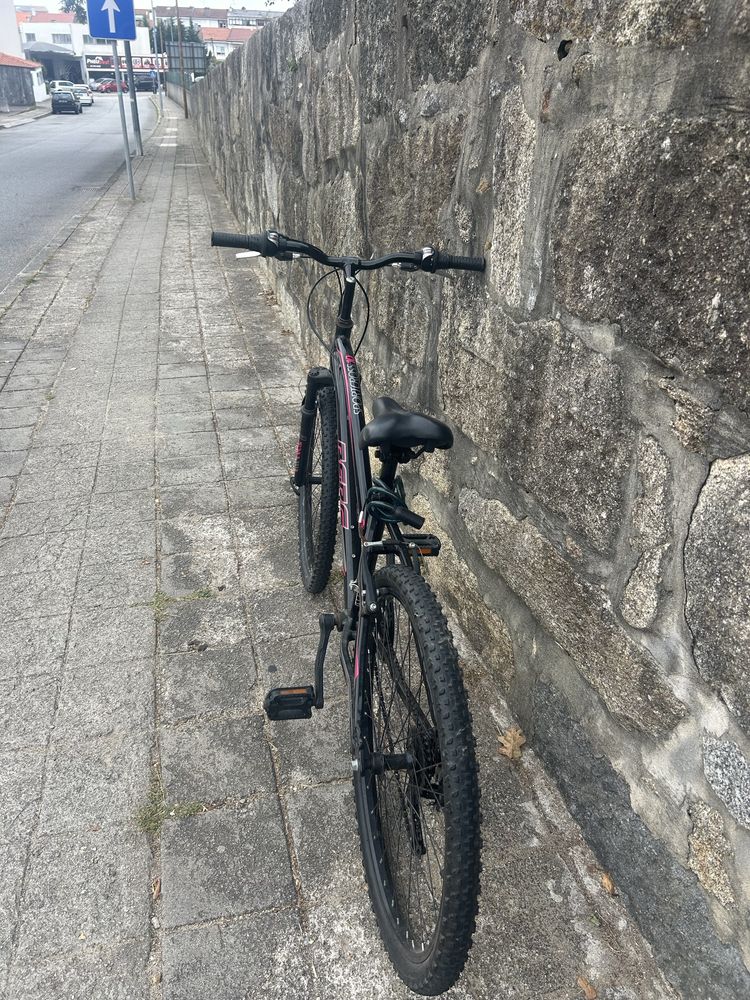 Bicicleta Sportcross10
