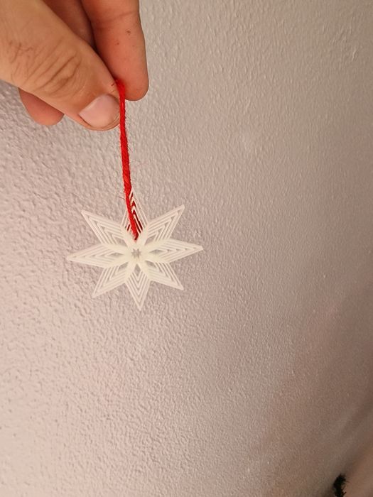 Estrela natal ( brilha no escuro) Park de 5