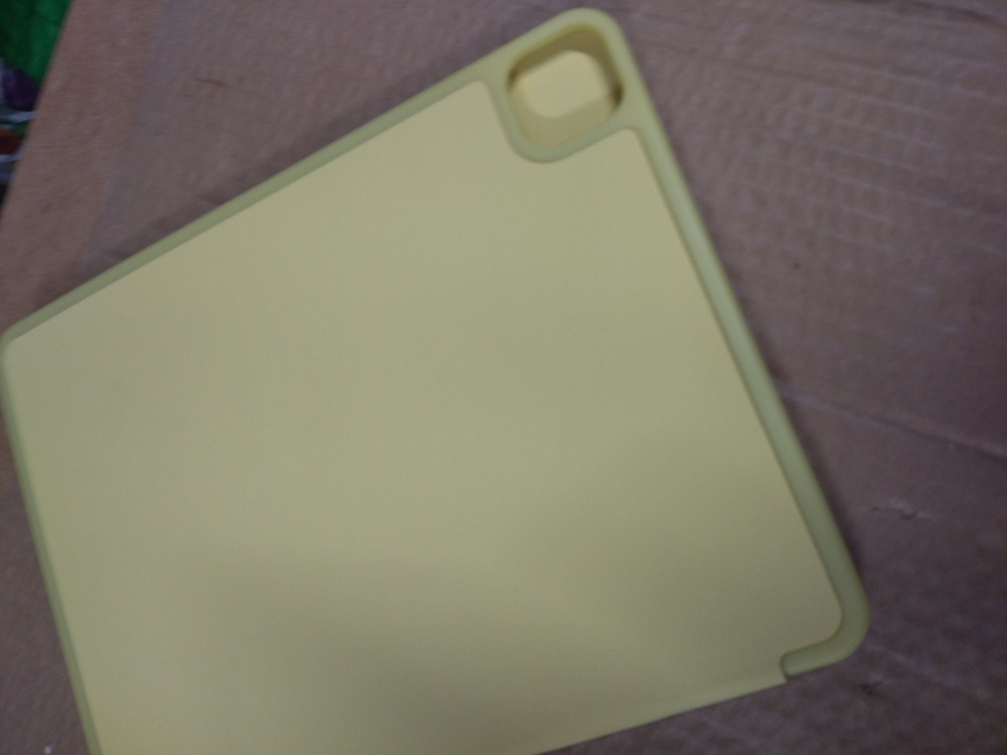 Etui do iPad 11" 2020/21 (V2))