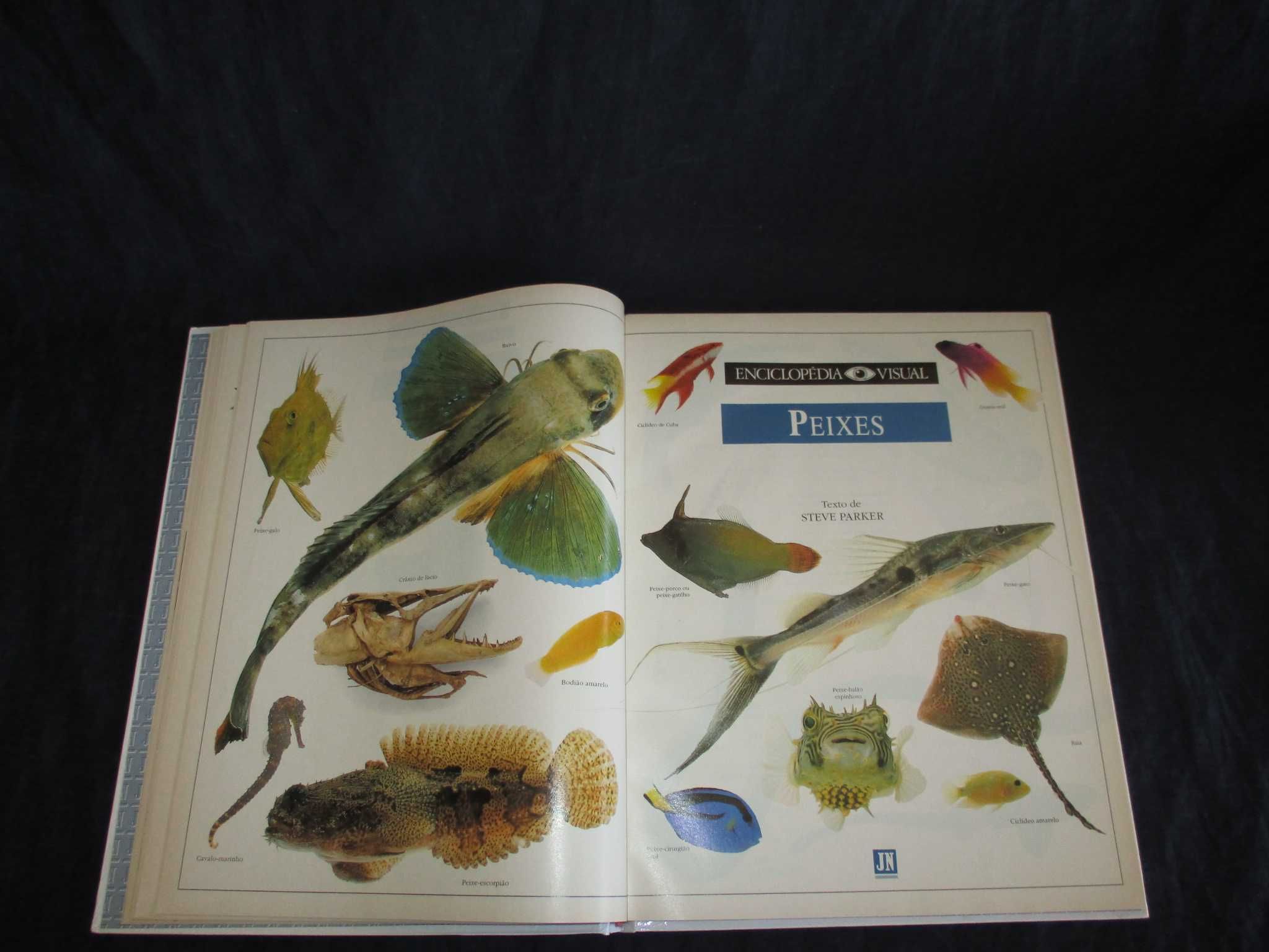 Livro Aves Peixes Mamíferos Enciclopédia Visual
